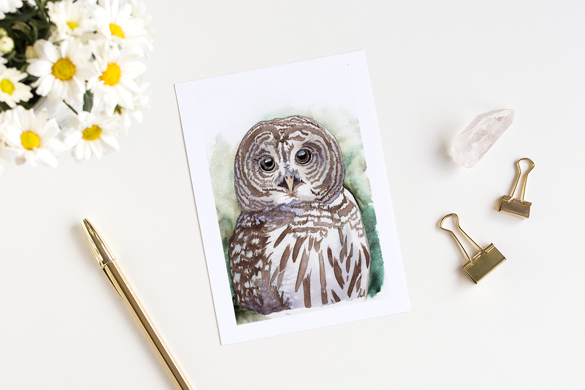 Barred Owl Watercolor Greeting Card by Susie Pogue