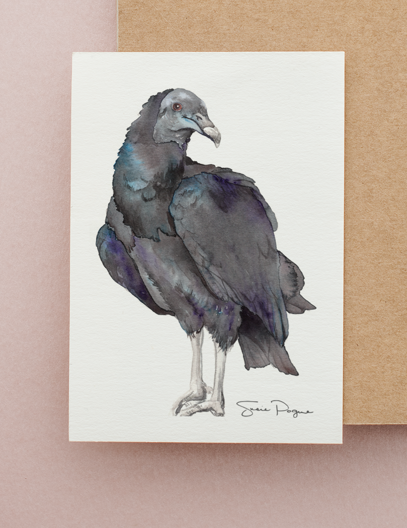 Bash the Black Vulture Watercolor Greeting Card by Susie Pogue