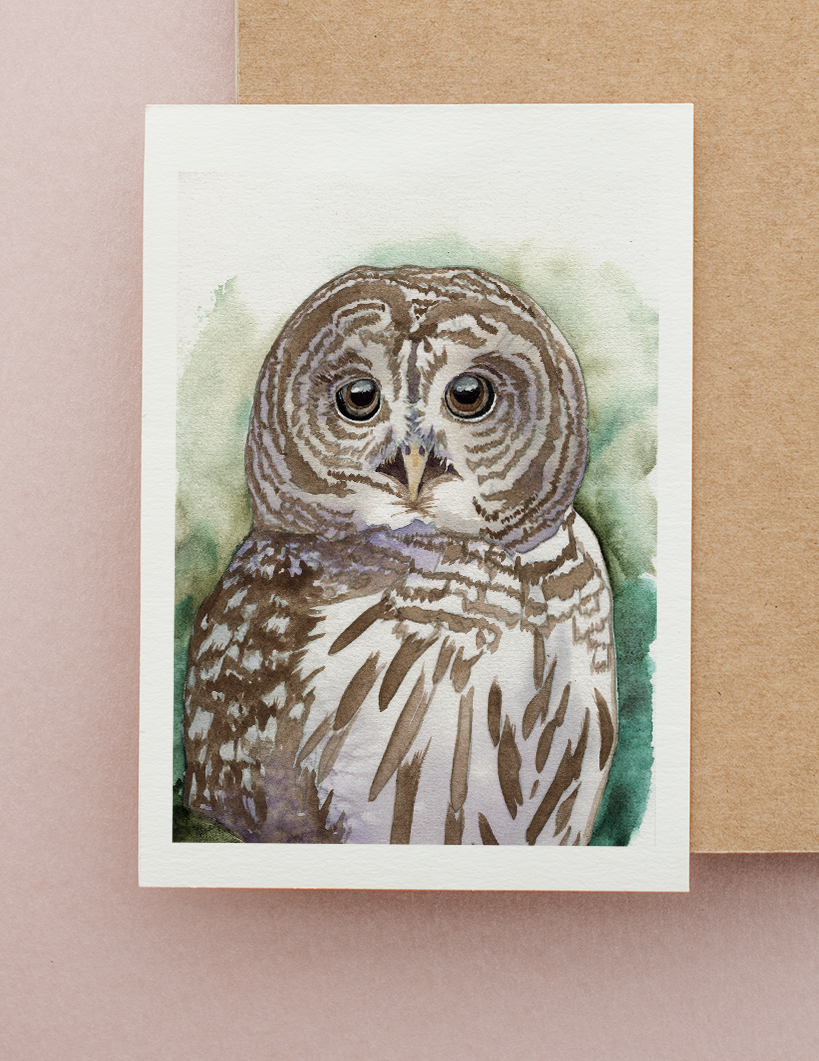 Barred Owl Watercolor Greeting Card by Susie Pogue