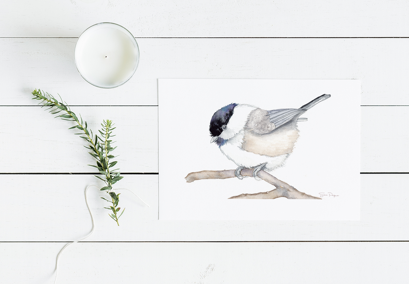 Chickadee on Branch Watercolor Greeting Card by Susie Pogue