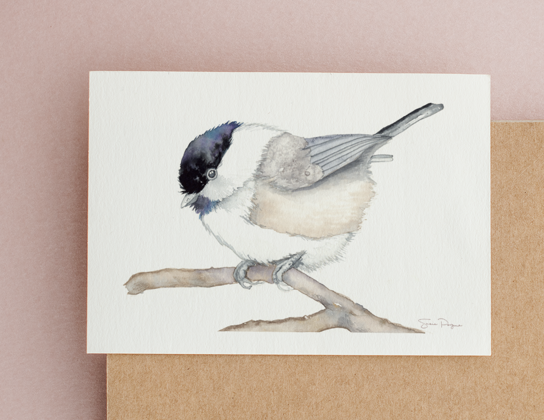 Chickadee on Branch Watercolor Greeting Card by Susie Pogue