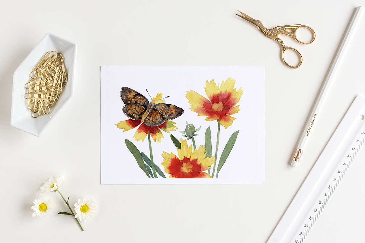 Crescent Butterfly on Tickseed Flower Watercolor Greeting Card by Susie Pogue