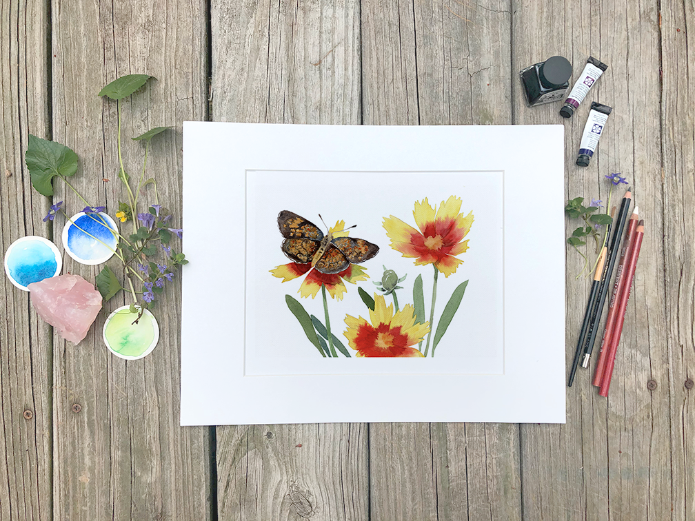 Crescent Butterfly on Tickseed Watercolor Fine Art Print