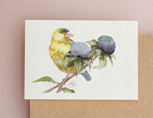 Goldfinch on Native Beebalm Monarda Watercolor Greeting Card by Susie Pogue