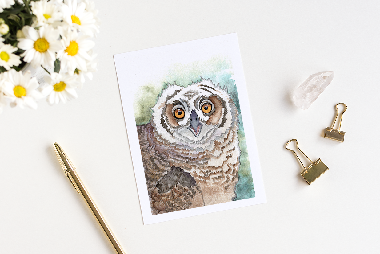 Great Horned Owlet Watercolor Greeting Card by Susie Pogue
