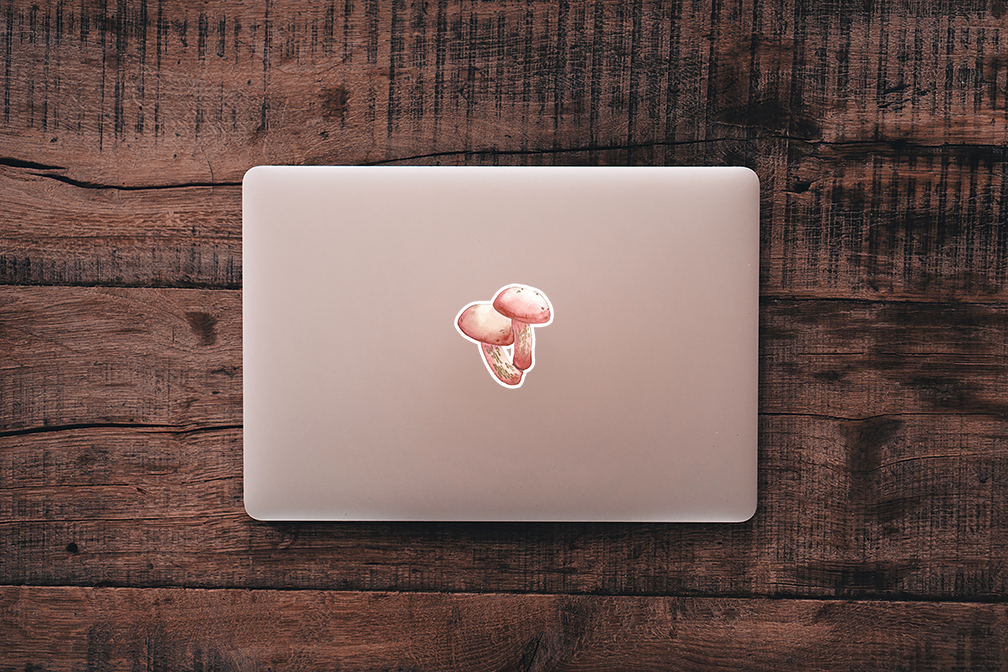 Pink Bolete Mushrooms Watercolor Vinyl Sticker