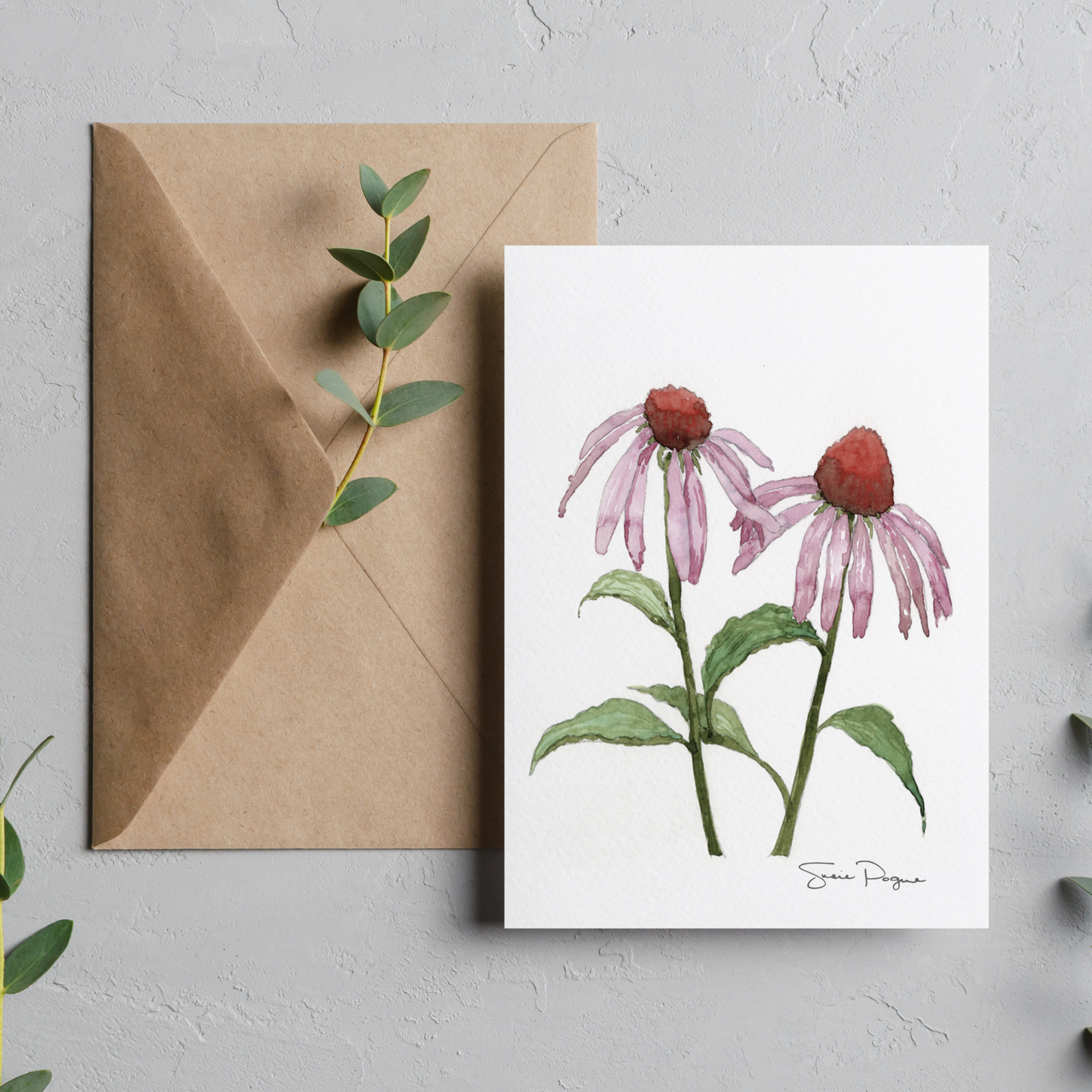 Purple Coneflower Echinacea  Watercolor Greeting Card by Susie Pogue