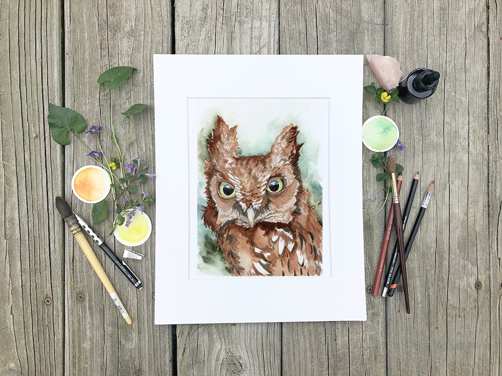 Screech Owl Watercolor Fine Art Print