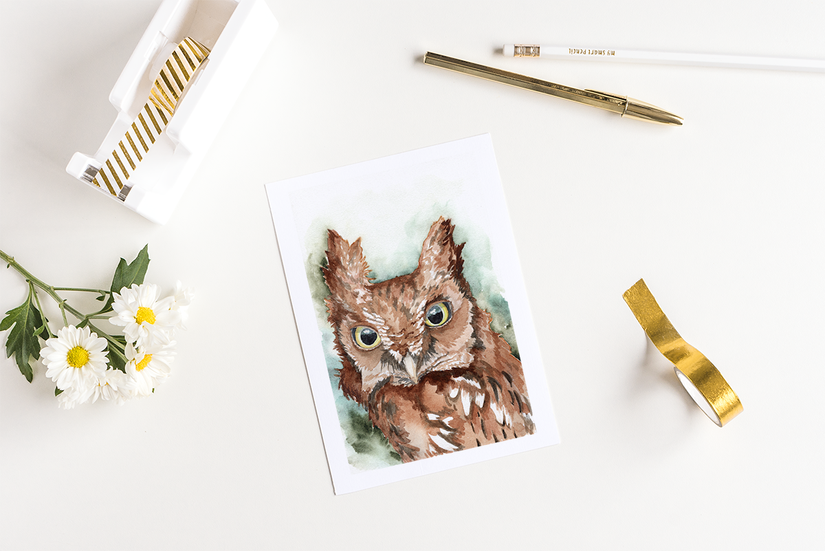 Screech Owl Watercolor Fine Art Print