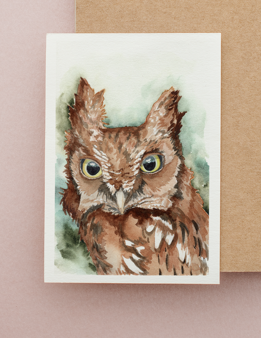 Screech Owl Watercolor Greeting Card by Susie Pogue