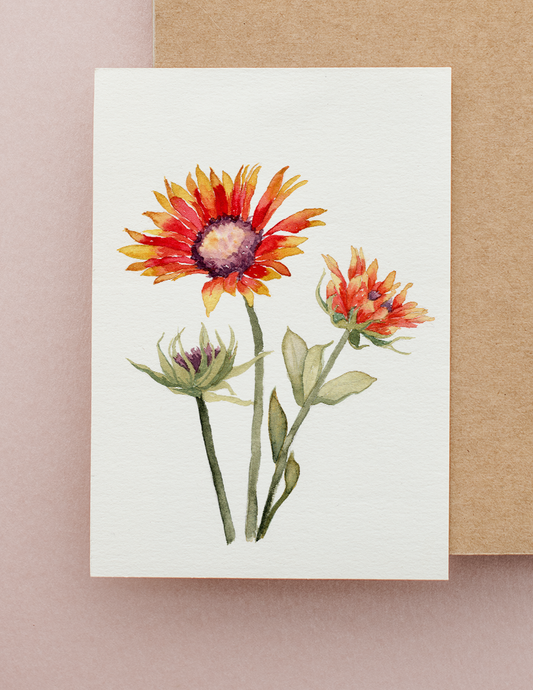 Gaillardia Flower Watercolor Greeting Card by Susie Pogue