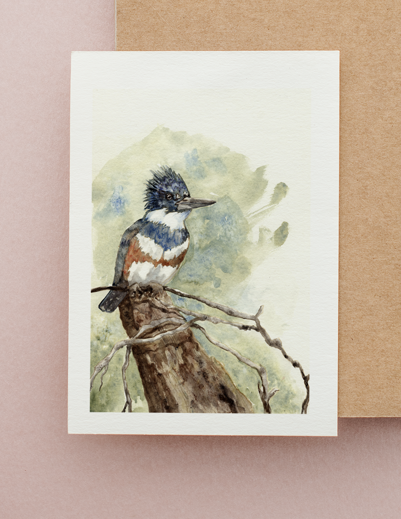 Ultramarine Kingfisher Watercolor Greeting Card by Susie Pogue